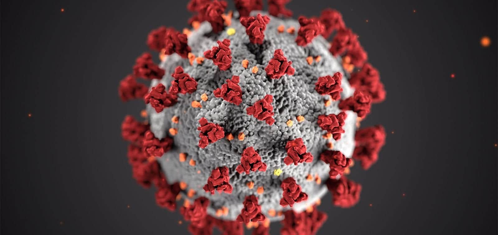 Read more about the article Signal Group Statement on Coronavirus
